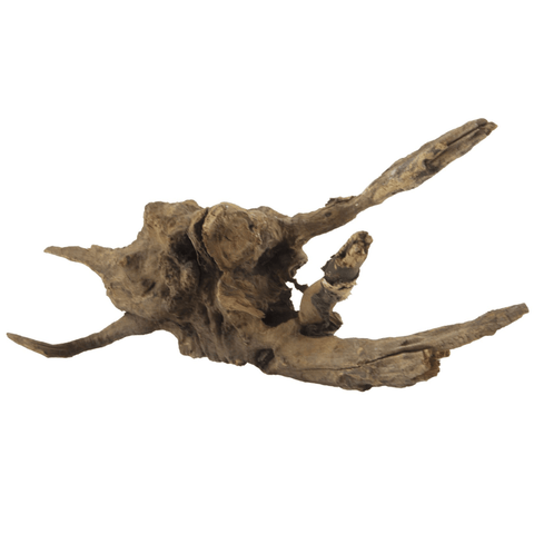 Aquarium Flusswurzel 20-35 cm