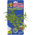 Betta Plants™ – Maple Leaf