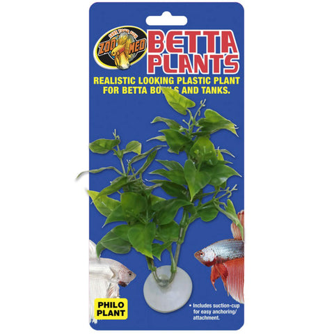 Betta Plants™ – Philo Plant