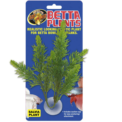 Betta Plants™ – Salvia