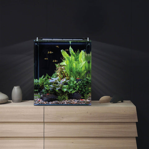 Dennerle Nano Cube Basic 60 Liter
