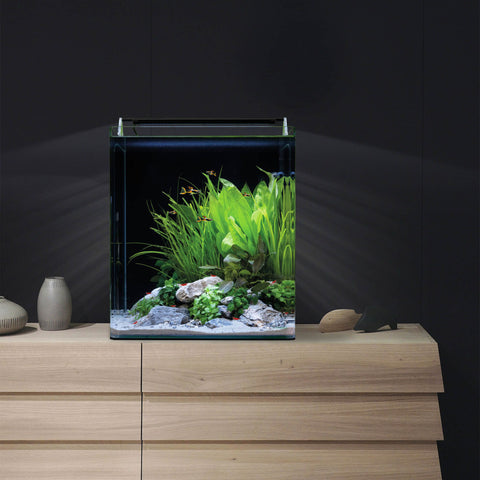 Dennerle Nano Cube Complete 60 Liter