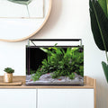Dennerle Nano Tank Complete 25 Liter