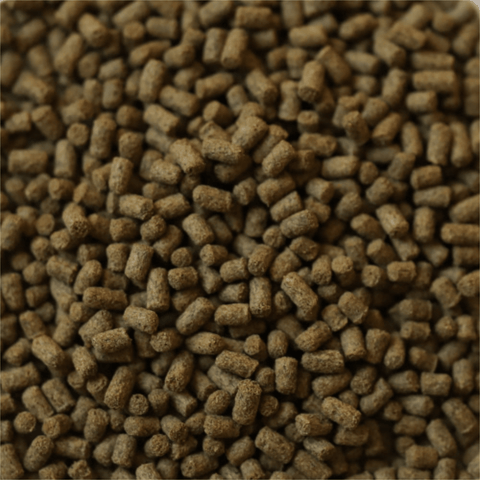 DuplaRin Axolotl Snack