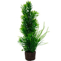 Hobby Flora Stone 5