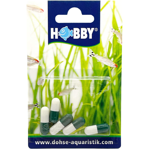 Hobby Planaria X Special Bait - Planarien Köder
