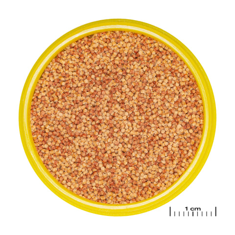 JBL PRONOVO COLOR GRANO S