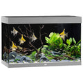 Juwel Aquarium Rio 290 Grau