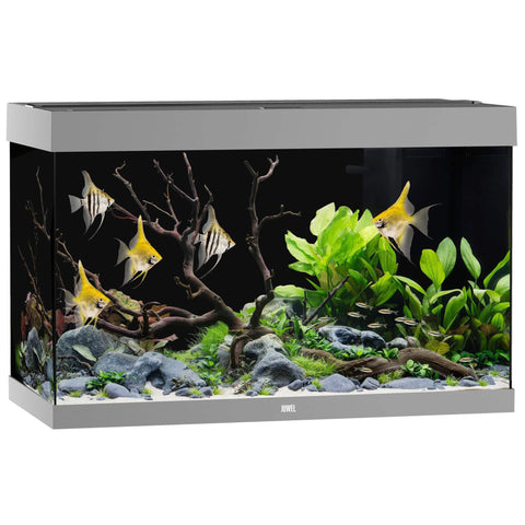 Juwel Aquarium Rio 290 Grau