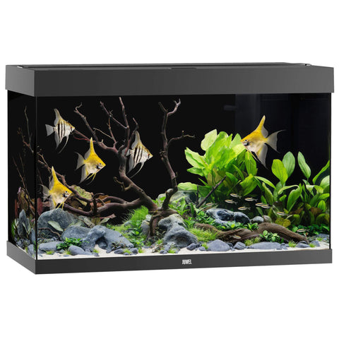 Juwel Aquarium Rio 290 Schwarz