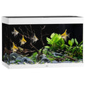 Juwel Aquarium Rio 290 Weiss