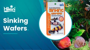 Hikari Sinking Wafers