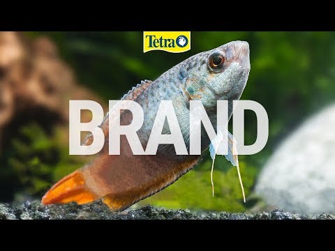 Tetra FreshDelicia Krill