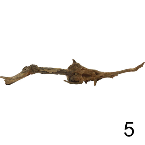 Scaping Wood 5