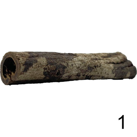 Seemandelbaum Röhre 1