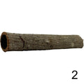 Seemandelbaum Röhre 2