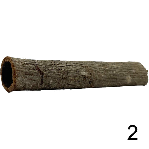 Seemandelbaum Röhre 2