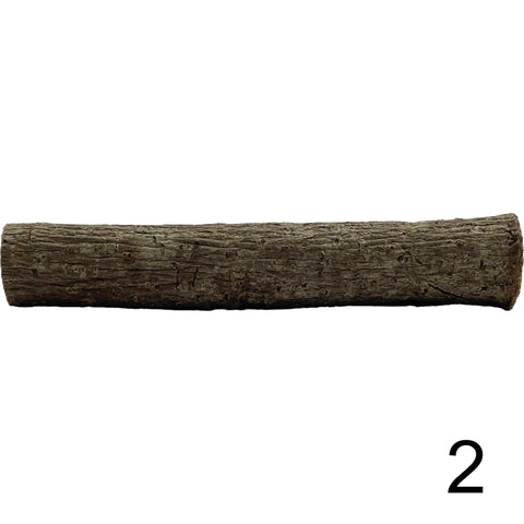 Seemandelbaum Röhre 2