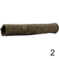 Seemandelbaum Röhre 2