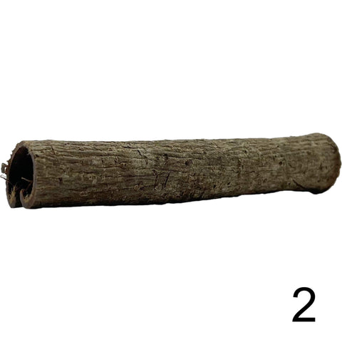 Seemandelbaum Röhre 2