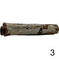 Seemandelbaum Röhre 3
