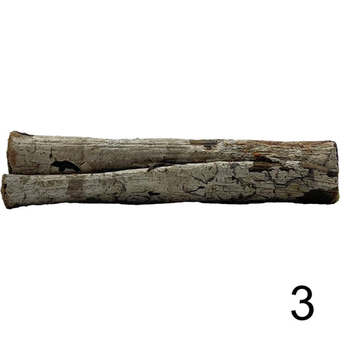 Seemandelbaum Röhre 3