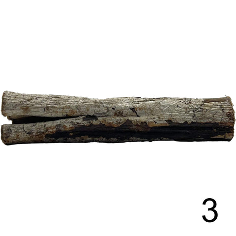Seemandelbaum Röhre 3