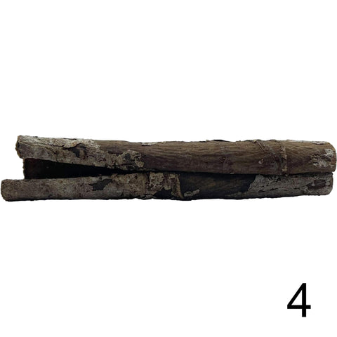 Seemandelbaum Röhre 4