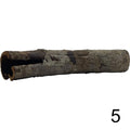 Seemandelbaum Röhre 5
