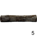 Seemandelbaum Röhre 5