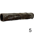 Seemandelbaum Röhre 5